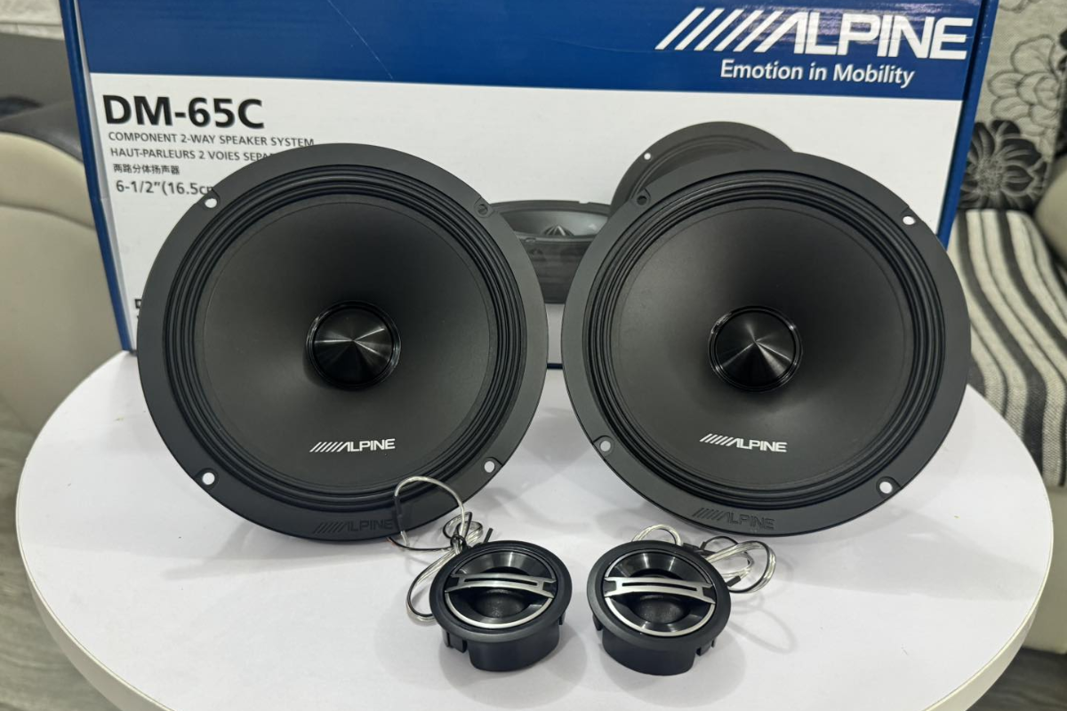 Độ Loa Cánh Alpine Xe VinFast Herio Green