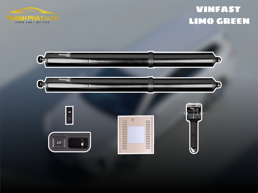 Độ Cốp Điện Đá Cốp Cho Xe VinFast Limo Green
